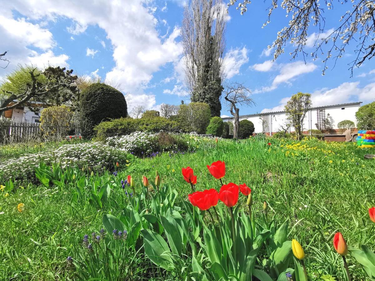 Apartment Bohnapartments Ega Stadtblick - Garten - Wlan - Naehe Theater Ega Und Messe Erfurt